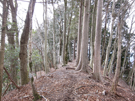 20190205hike (194)